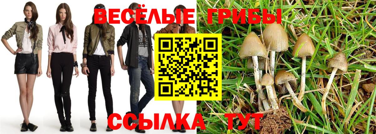 Псилоцибиновые грибы Cubensis  Псилоцибиновые грибы Psilocybe  Родники  Вход с VPN 