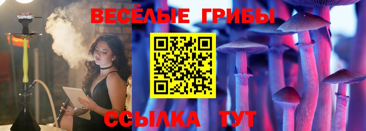 Галлюциногенные грибы прущие грибы Родники
