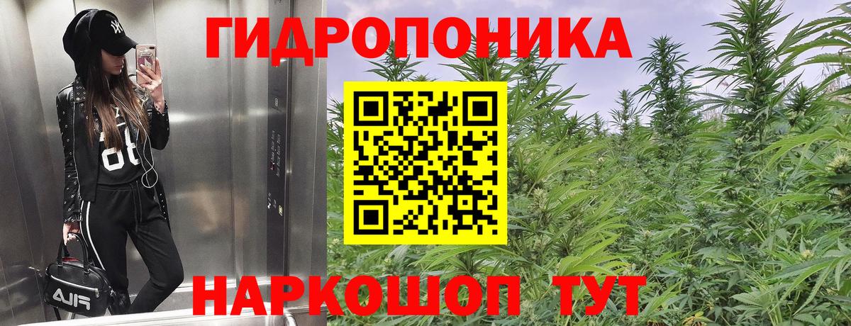 Родники  Канабис White Widow  Вход с VPN  Марихуана ГИДРОПОН  МАРИХУАНА White Widow 